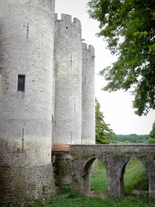 Castillo de Roquetaillade - Puente sobre el foso y torres de New Castle