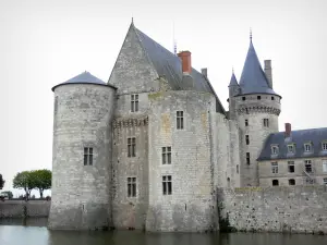 Castillo de Sully-sur-Loire - Fortaleza medieval y un foso (el Sange)