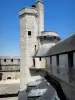 Castillo de Vincennes - Elementos arquitectónicos del castillo