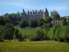 Castle Rochechouart - Castelo que abriga o Museu de Arte Contemporânea, árvores e prado pontilhado de flores silvestres, no Parque Natural Regional Périgord-Limousin