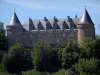 Castle Rochechouart - Castelo que abriga o Museu de Arte Contemporânea e árvores, no Parque Natural Regional Périgord-Limousin