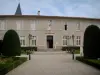 Castres - Allée du jardin de l'Évêché menant à l'ancien palais épiscopal abritant l'hôtel de ville (mairie) et le musée Goya