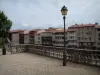 Castres - Allée et lampadaires du jardin de l'Évêché avec vue sur les maisons de l'Agout