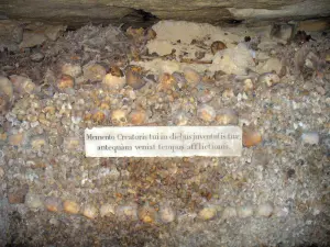 Catacumbas de París - Boneyard (situada en las antiguas canteras subterráneas): los huesos