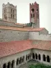 Cathédrale et cloître d'Elne - Tours-clochers de la cathédrale Sainte-Eulalie-et-Sainte-Julie dominant le cloître médiéval