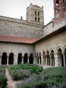 Cathédrale et cloître d'Elne - Jardin du cloître
