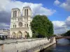 Cathédrale Notre-Dame de Paris - Vue sur la façade ouest de la cathédrale et la Seine