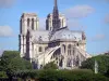 Cathédrale Notre-Dame de Paris - Vue sur le chevet de la cathédrale gothique
