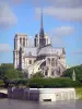 Cathédrale Notre-Dame de Paris - Vue sur le chevet de la cathédrale et la Seine