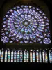 Cathédrale Notre-Dame de Paris - Intérieur de la cathédrale : rosace