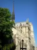 Cathédrale Notre-Dame de Paris - Vue sur la flèche de la cathédrale