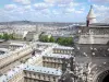 Cathédrale Notre-Dame de Paris - Vue panoramique sur la ville de Paris depuis les hauteurs de la cathédrale