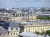 Cathédrale Notre-Dame de Paris - Vue sur Paris et le dôme du tribunal de commerce depuis les hauteurs de la cathédrale