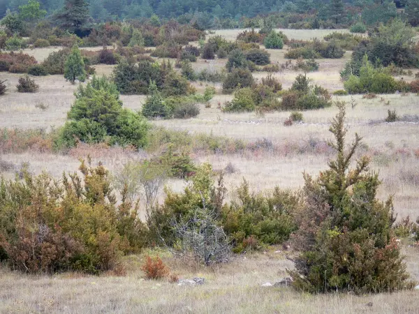 Causse du Larzac - 旅游、度假及周末游指南阿韦龙省