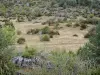 Causse du Larzac - Plateau du Larzac, dans le Parc Naturel Régional des Grands Causses : rochers, lande et pelouse sèche