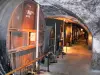 Caves de la Chartreuse - Cave à liqueurs des Pères Chartreux (sur la commune de Voiron) : alignement de fûts