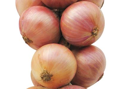 La cebolla rosada de Roscoff Guía Gastronomía y Vacaciones