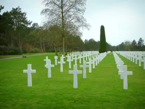 Cemitério americano de Colleville-sur-Mer - Túmulos do cemitério militar americano e árvores