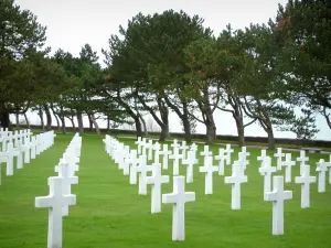 Cemitério americano de Colleville-sur-Mer - Túmulos do cemitério militar americano e árvores