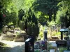 Cemitério dos Cães de Asnières-sur-Seine - Túmulos no Cemitério de Cães em um cenário verde