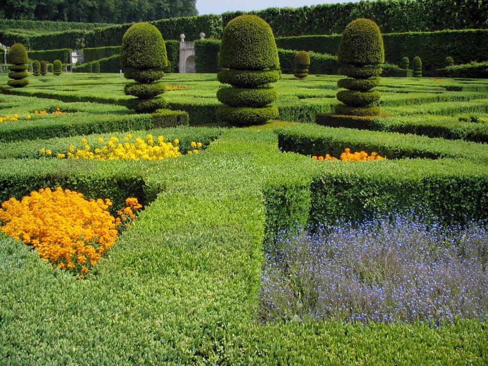 Guide du Centre-Val de Loire - Château et jardins de Villandry - Fleurs et arbustes taillés du jardin d'ornement