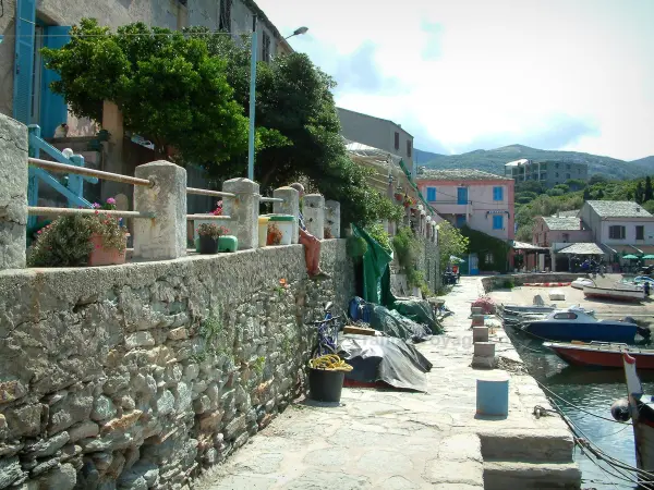 Centuri - Quai du porto e casas da aldeia (marinha)