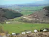 Cerdagne - Parc Naturel Régional des Pyrénées Catalanes : vue sur le paysage verdoyant du haut plateau de Cerdagne