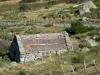 Cévennes National Park - Tourism, holidays & weekends guide in Occitanie