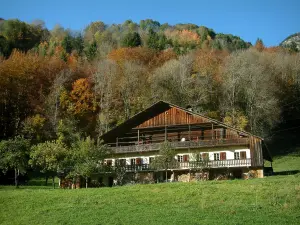 Chablais - Grasland (gras), bomen, gekapt hout, cottage en oude bos (bomen) in de herfst, Opper Chablais