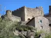 Chalencon - Château médiéval de Chalencon sur son piton rocheux ; dans la commune de Saint-André-de-Chalencon