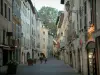 Chambéry - Rue pavée de la vieille ville avec ses boutiques et ses maisons