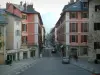 Chambéry - Place du Château, rue de Boigne et fontaine des Éléphants en arrière-plan