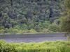 Meer van Chambly - Lichaam van water, vegetatie en bomen