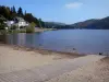 Chambon lake - Beach, lake, ducks, houses and wooded banks; in the Auvergne Volcanic Regional Nature Park, in the Monts Dore mountain area 