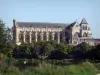 Champanhe Chalons - Saint-Etienne catedral de estilo gótico, canal, árvores e juncos à beira da água