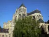 Champanhe Chalons - Catedral de Santo Estêvão em estilo gótico, salgueiro-chorão (árvore) e poste