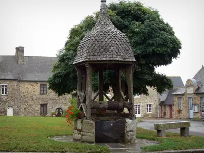 Champaux