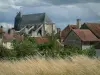 Chaource - Herbes sauvages, arbres, maisons du village, église Saint-Jean-Baptiste et ciel nuageux