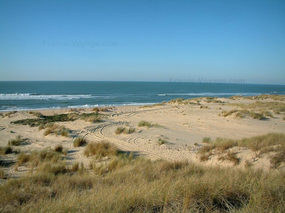 Guide de la Charente-Maritime - Paysages du littoral de Charente-Maritime - Presqu'île d'Arvert : oyats, sable, plage de la Côte Sauvage en contrebas et mer (océan Atlantique) avec de petites vagues