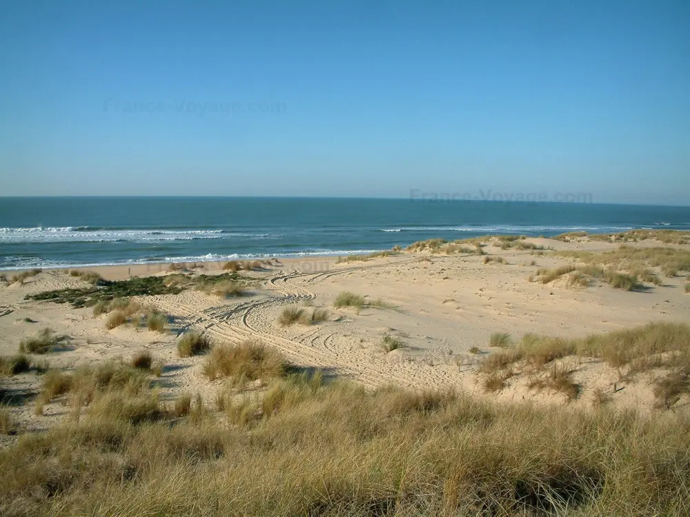 Guia de Charente-Maritime - Paisagens da costa Charente-Maritime - Península Arvert: Oyats, areia, praia da costa selvagem abaixo e mar (Oceano Atlântico) com ondas pequenas
