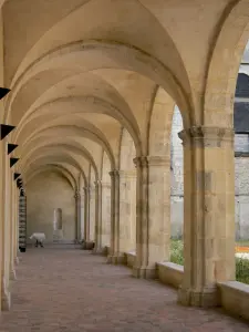 La Charité-sur-Loire - Clunisian priory: gallery of the cloister