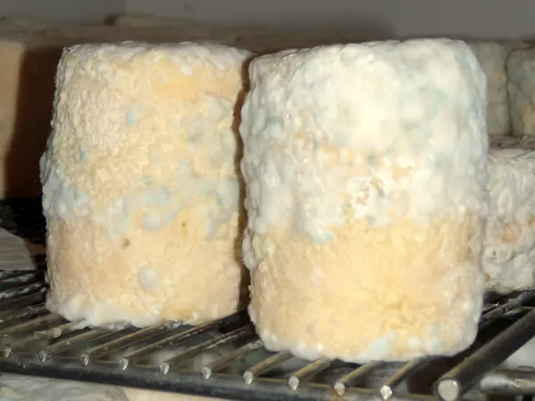 Charolaisチーズ - 美食、ヴァカンス、週末のガイドのソーヌ･エ・ロワール県
