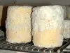 Charolais cheese - Gastronomy, holidays & weekends guide in the Saône-et-Loire