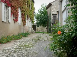 Charroux - Straat met huizen bloei