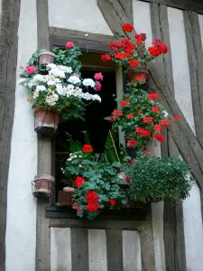 Chartres - Fenêtre ornée de fleurs et pans de bois d'une maison de la vieille ville