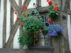 Chartres - Janela decorada com flores e laterais de madeira de uma casa na cidade velha