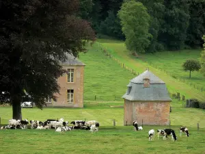 Chartreuse du Mont-Dieu - Kudde van koeien in een weiland aan de rand van het oude klooster