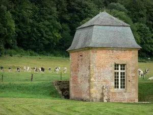 Chartreuse du Mont-Dieu - Kudde van koeien in een weiland aan de rand van het oude klooster