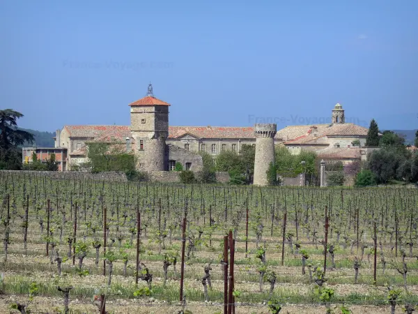 Château-abbaye de Cassan - Château-abbaye (ancien prieuré royal) et vignes, à Roujan