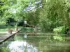 Château d'Ainay-le-Vieil - Canal, bambous, arbres, plantes et banc vert